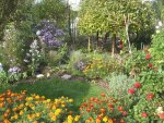 garten 09 023.JPG