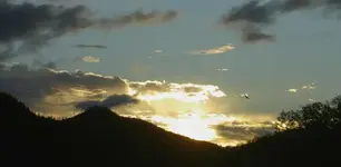 Wellington 236 v.webp