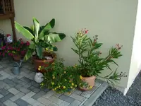Carport.webp