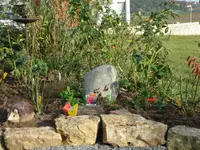 rosenduftbeet.webp