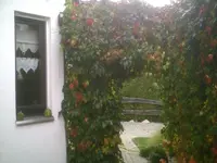 PIC00513.webp