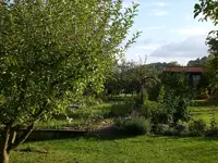 Garten Okt.09 001.webp