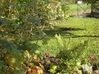 Garten Okt.09 003.webp