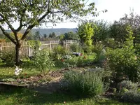 Garten Okt.09 004.webp