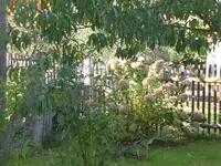Garten Okt.09 005.webp