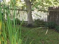 Garten Okt.09 006.webp