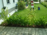 DSC07292.webp