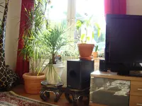 Musa Bajoo 003.webp