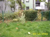 garten 1009.webp