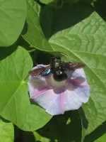 garten 09 007.webp