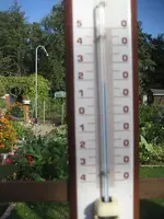 garten 09 008.webp