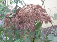 019.webp