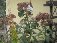 020.webp
