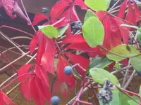 025.webp