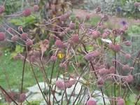 040.webp