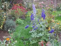 035.webp