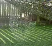 September 2009 302 v.webp