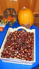 003.webp