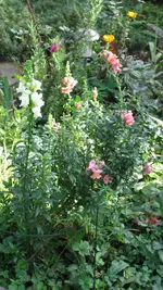 d020.webp