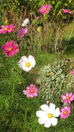 d022.webp