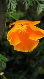d026.webp