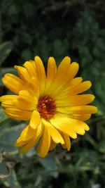d027.webp