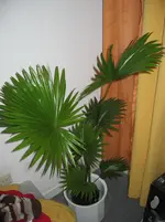IMG_0635.webp