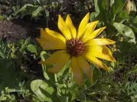 HPIM3184.webp