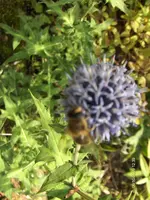 HPIM3188.webp