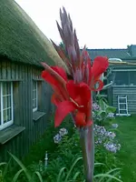 6295.webp