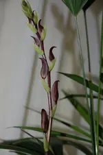 DSC_3055.webp