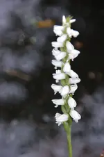 DSC_3045.webp
