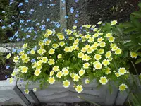 DSC00484.webp