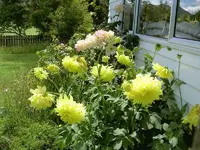 Haus & Garten alt 028 v.webp