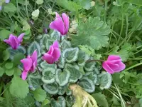 Oktober 2009 191.webp