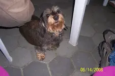 100_1278.webp