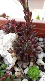 20190524_175216.webp