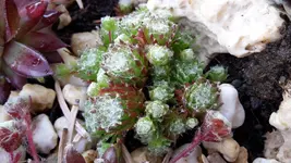 20190524_175548.webp