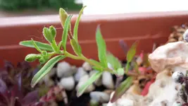 20190524_175605.webp