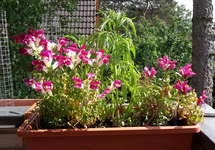 20190524_144414-1.webp