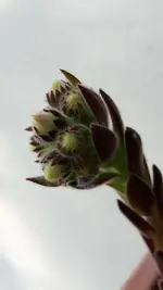 20190524_175633.webp