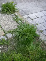 23_05_2019 (14).webp
