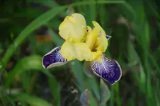 DSC07726.webp