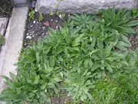 23_05_2019 (50).webp