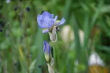 DSC07727.webp