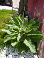 19_05_2019 (17).webp