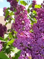 17_05_2019 (5).webp