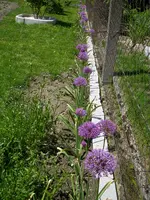 19_05_2019 (10).webp