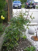 23_05_2019 (21).webp