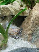 20190524_213701.webp